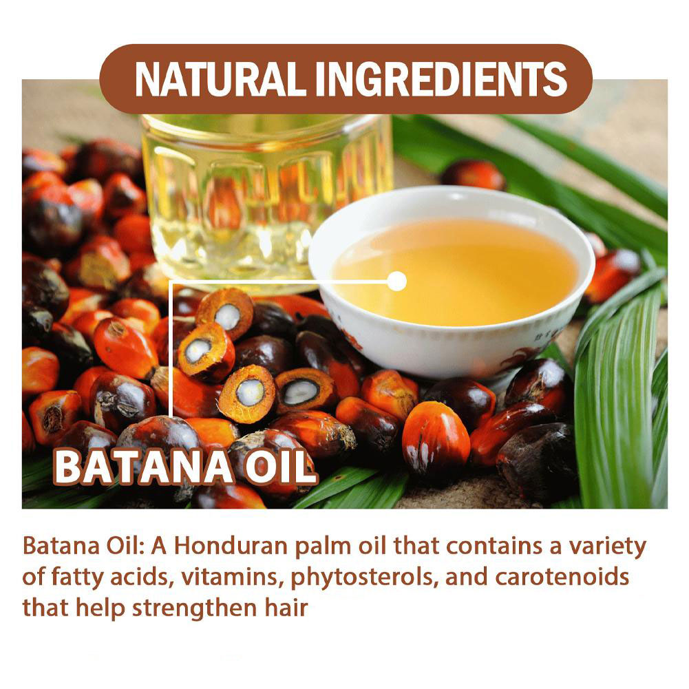 Óleo de Batana Natural para o  - Hair Care Gisou avaliação e preço