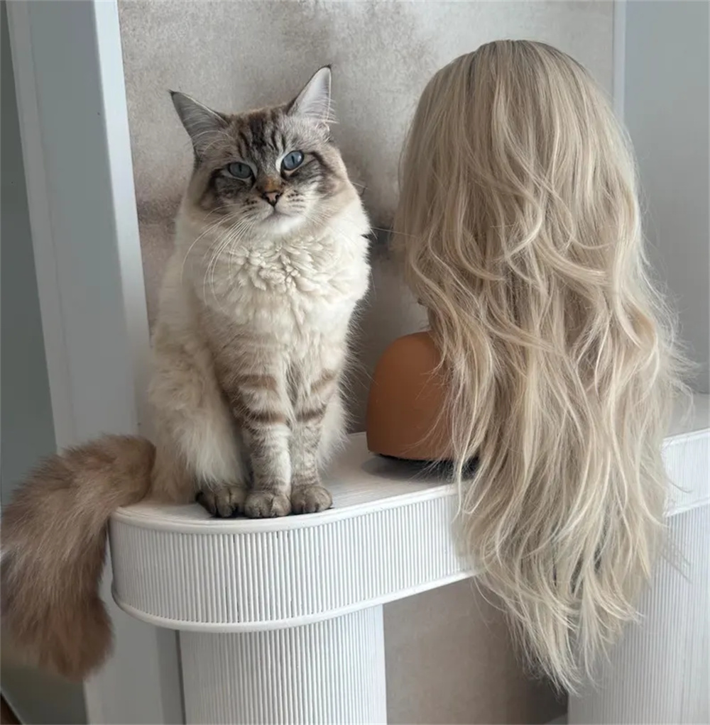 Loira em camadas ondulado peru - Hair Care For Wavy Hair avaliação e preço